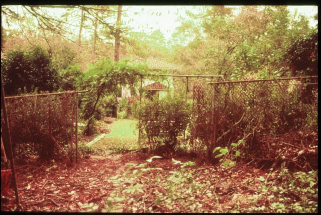 Landscape Installation by Evercrest Landscape Group - Photo 12