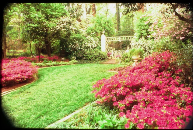 Evercrest Landscape Group - Photo 2