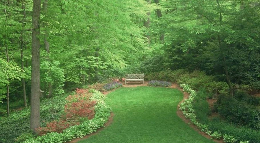 Landscape Installation by Evercrest Landscape Group - Photo 8