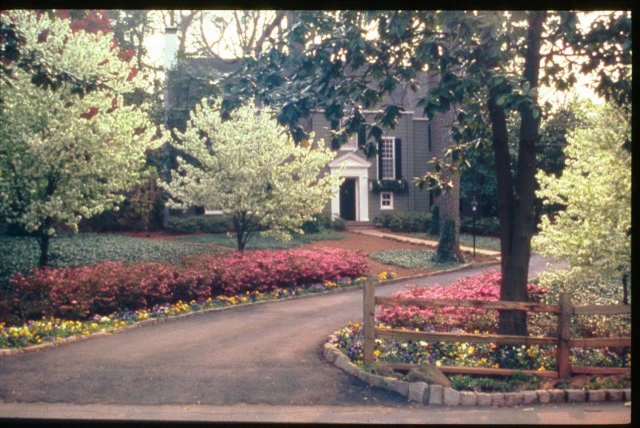 Front Yard Landscaping by Evercrest Landscape Group - Photo 15