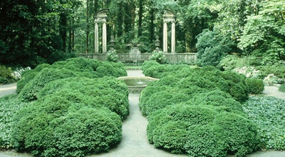 Evercrest Landscape Group - Photo 4
