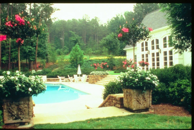 Landscaping Surrounding Pool by Evercrest Landscape Group - Photo 6