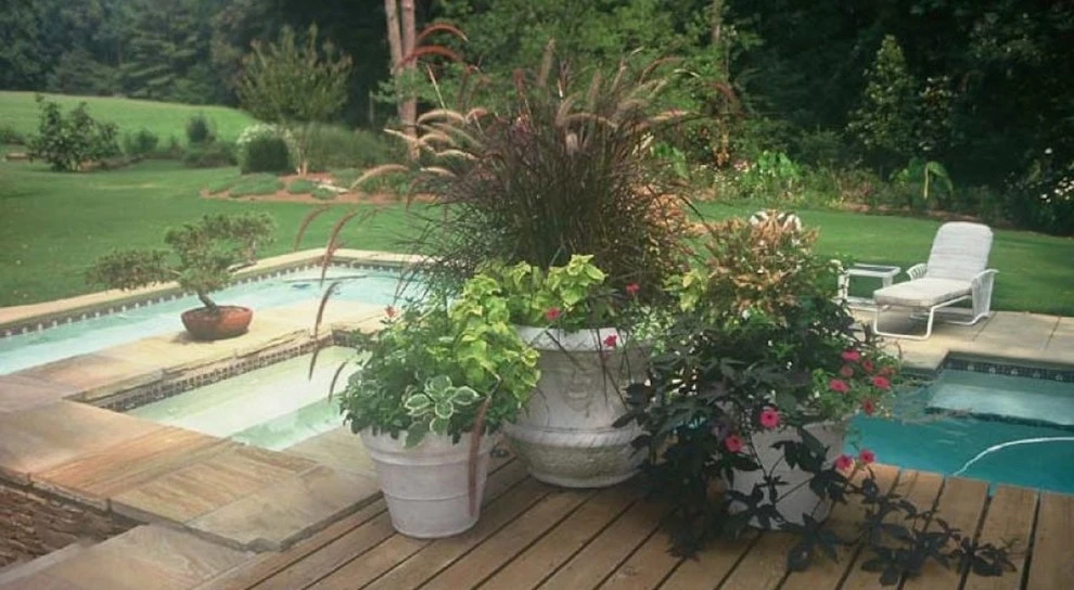 Landscaping Surrounding Pool by Evercrest Landscape Group - Photo 4