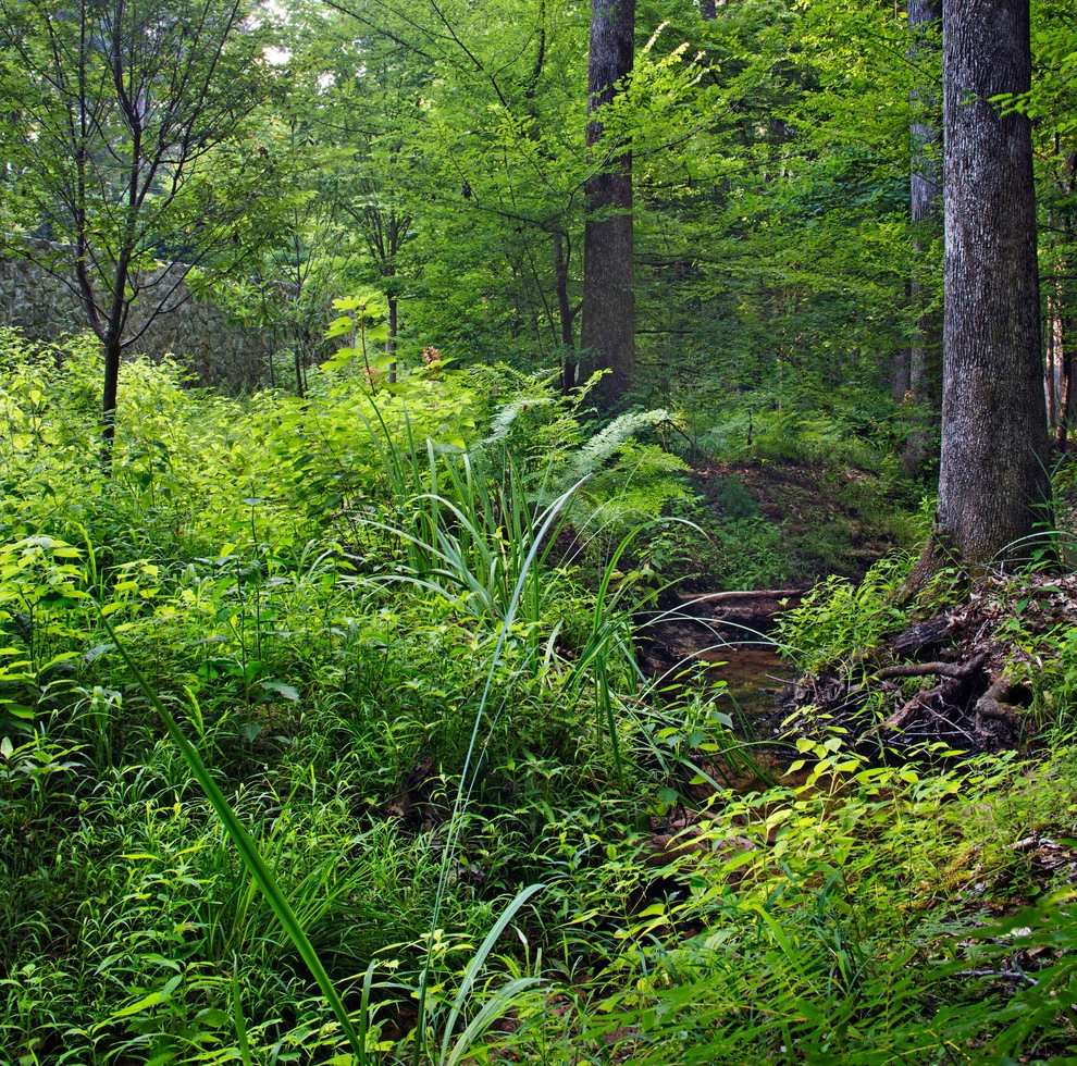CARBO Landscape Architecture - Photo 2
