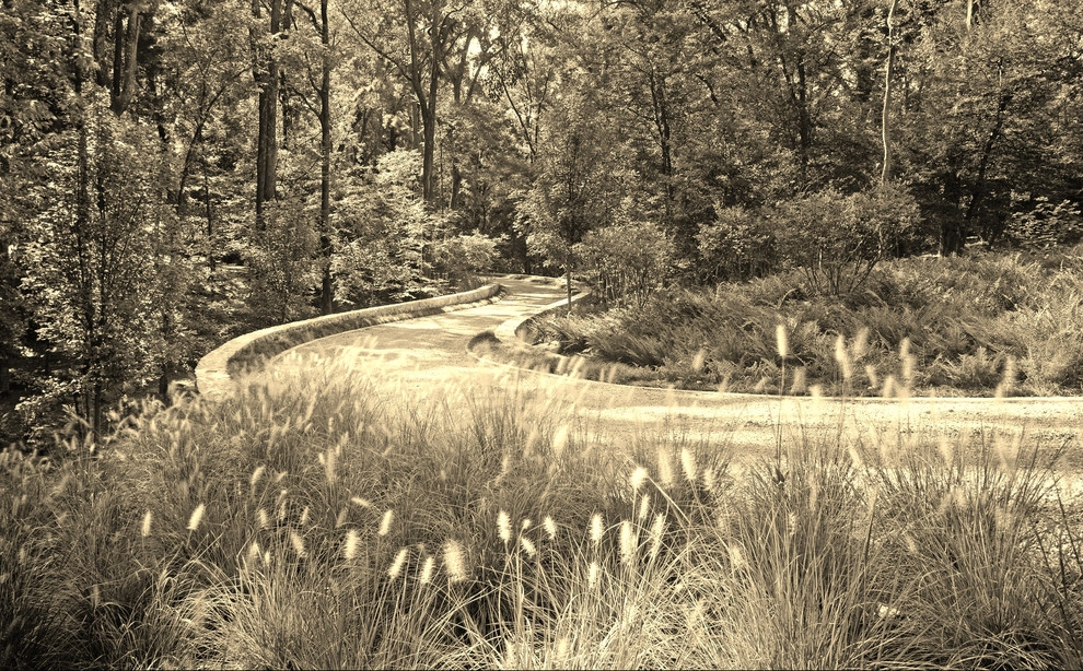 Woodland Rain Gardens by CARBO Landscape Architecture - Photo 6