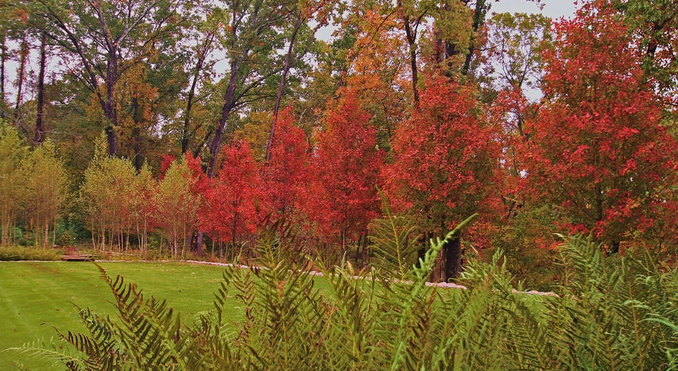 CARBO Landscape Architecture - Photo 6