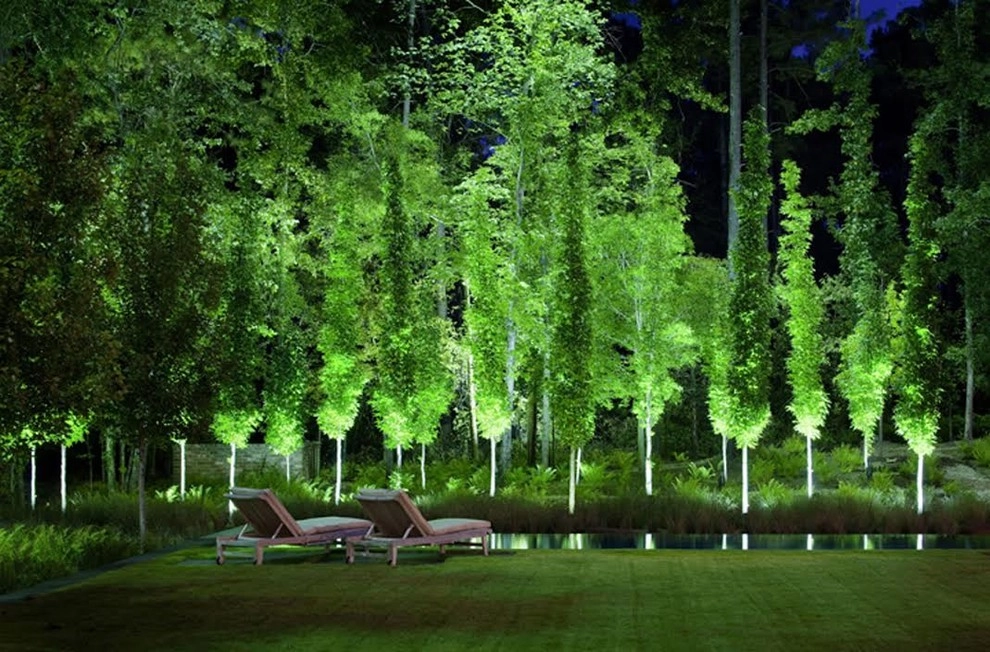 Portfolio by CARBO Landscape Architecture - Photo 3