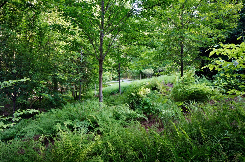 Woodland Rain Gardens by CARBO Landscape Architecture - Photo 12