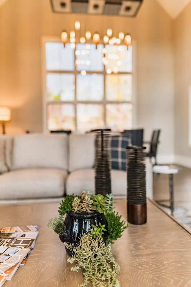 Asheville Design Company - Photo 6