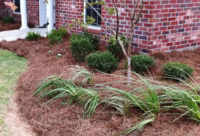 Two Thousand Ten to Two Thousand Thirteen by NorthPro Landscaping And Lawncare - Photo 35