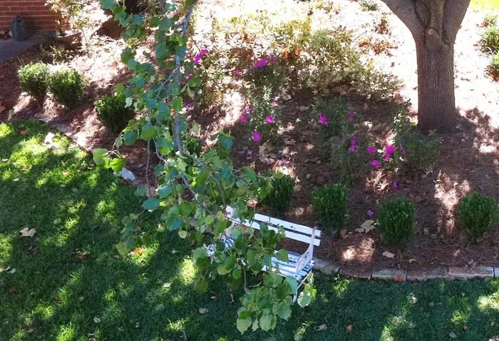 NorthPro Landscaping And Lawncare - Photo 13