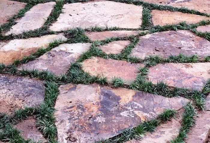 Two Thousand Ten to Two Thousand Thirteen by NorthPro Landscaping And Lawncare - Photo 45