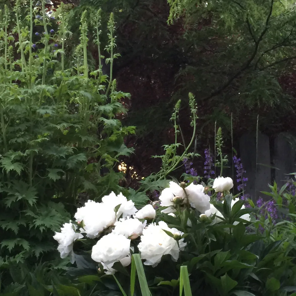 Blooming Gardens by Norlen Landscaping, LLC - Photo 12