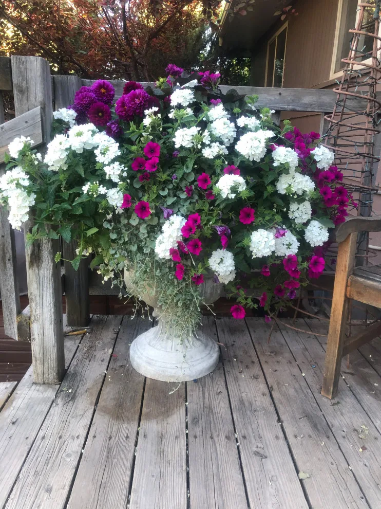 Blooming Gardens by Norlen Landscaping, LLC - Photo 5