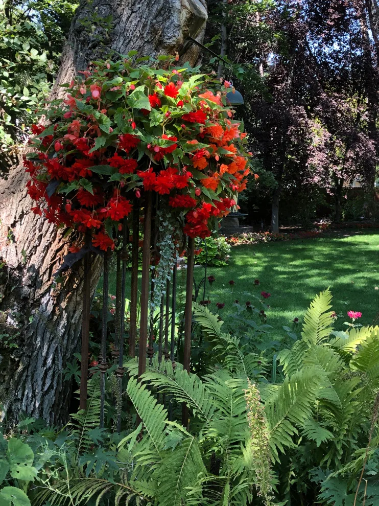 Blooming Gardens by Norlen Landscaping, LLC - Photo 10