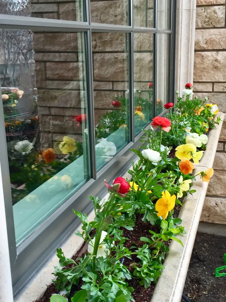 Blooming Gardens by Norlen Landscaping, LLC - Photo 11
