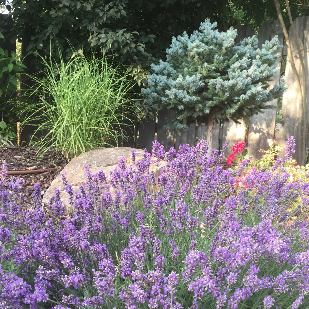 Entryway Landscape Design by Norlen Landscaping, LLC - Photo 10