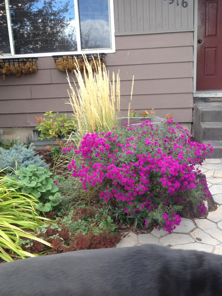 Entryway Landscape Design by Norlen Landscaping, LLC - Photo 2