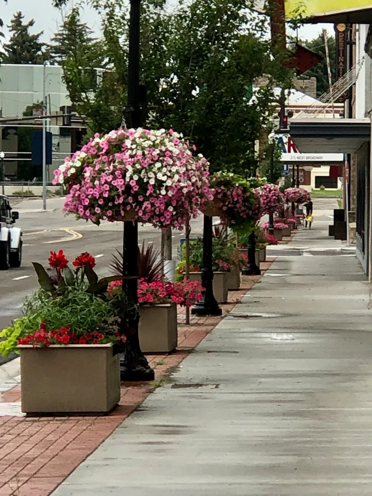 Business Initiative by Norlen Landscaping, LLC - Photo 15
