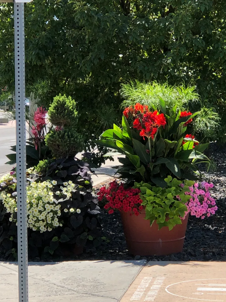 Business Initiative by Norlen Landscaping, LLC - Photo 22