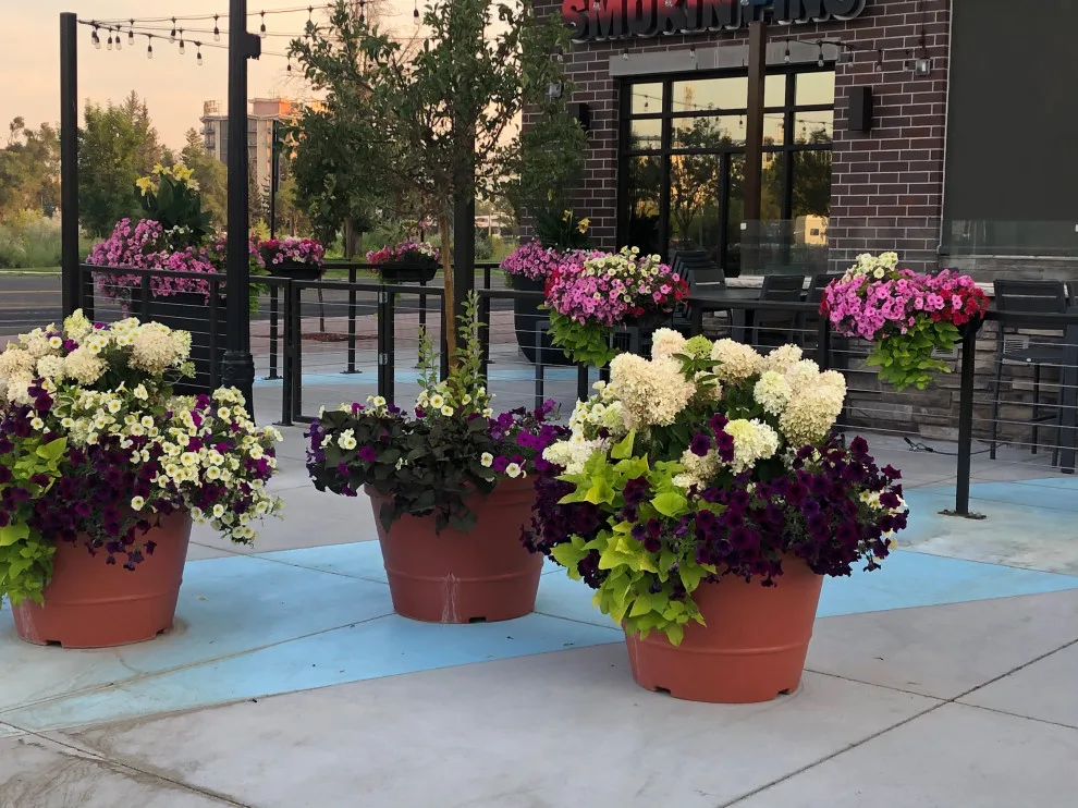 Business Initiative by Norlen Landscaping, LLC - Photo 4