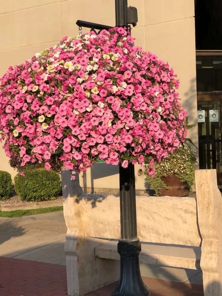 Business Initiative by Norlen Landscaping, LLC - Photo 13