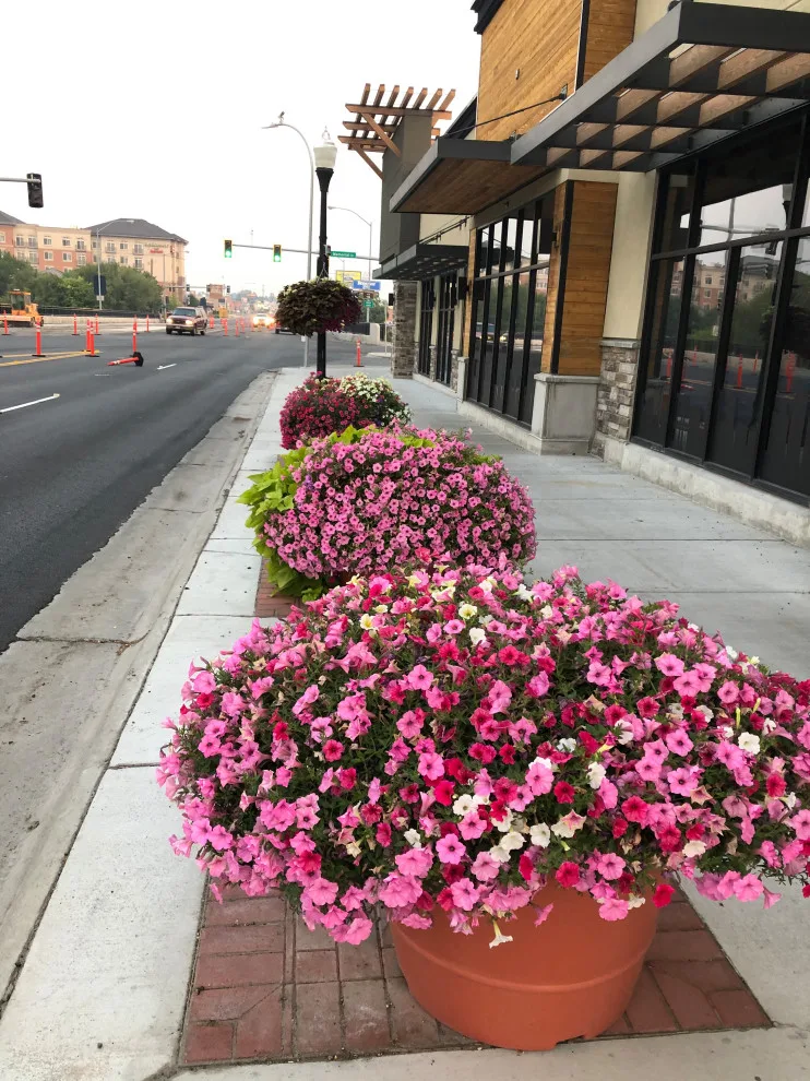 Business Initiative by Norlen Landscaping, LLC - Photo 12