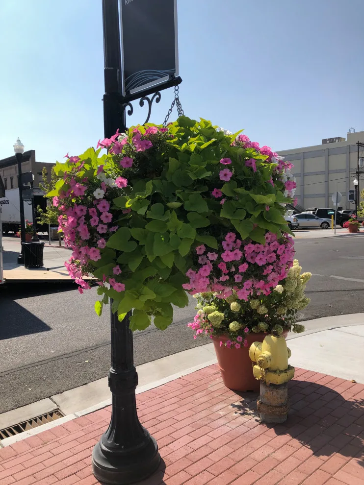 Business Initiative by Norlen Landscaping, LLC - Photo 9