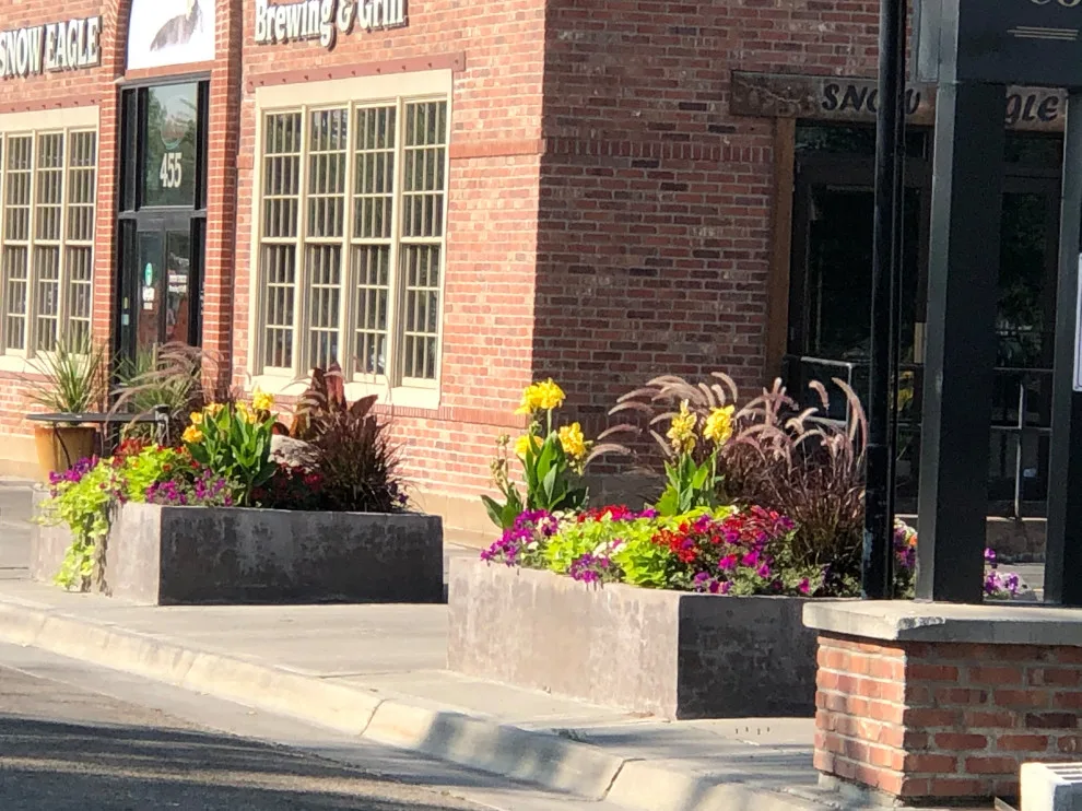 Business Initiative by Norlen Landscaping, LLC - Photo 25