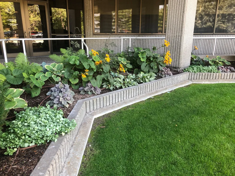 Business Initiative by Norlen Landscaping, LLC - Photo 35