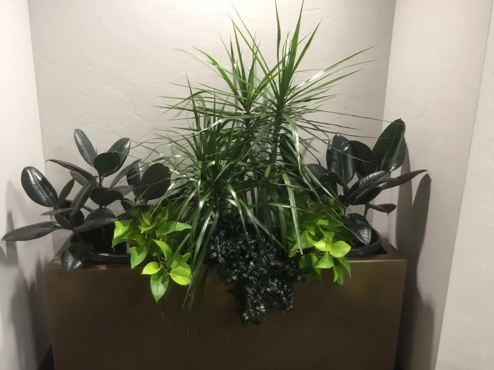 Business Initiative by Norlen Landscaping, LLC - Photo 11