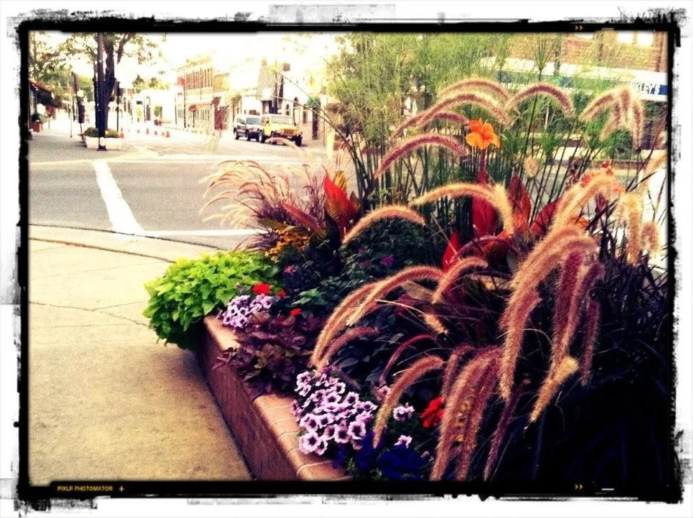 Business Initiative by Norlen Landscaping, LLC - Photo 34