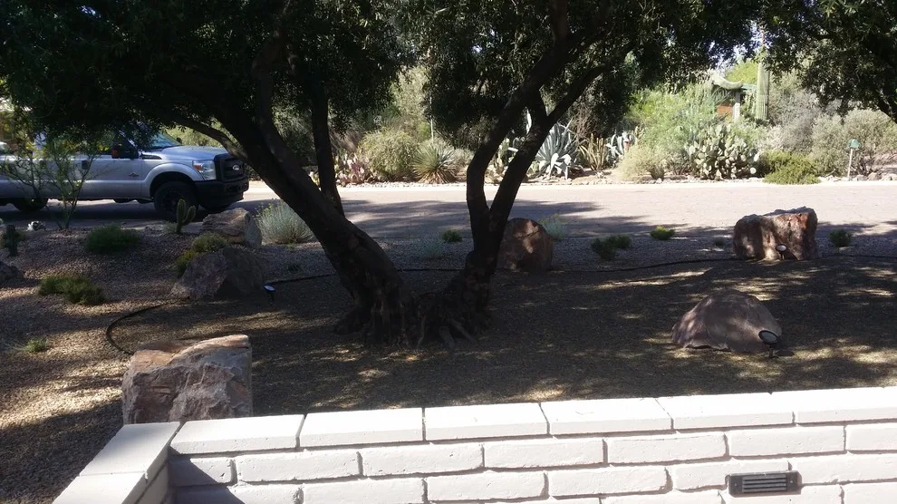 ALA, Artistic Landscape Architecture - Photo 3