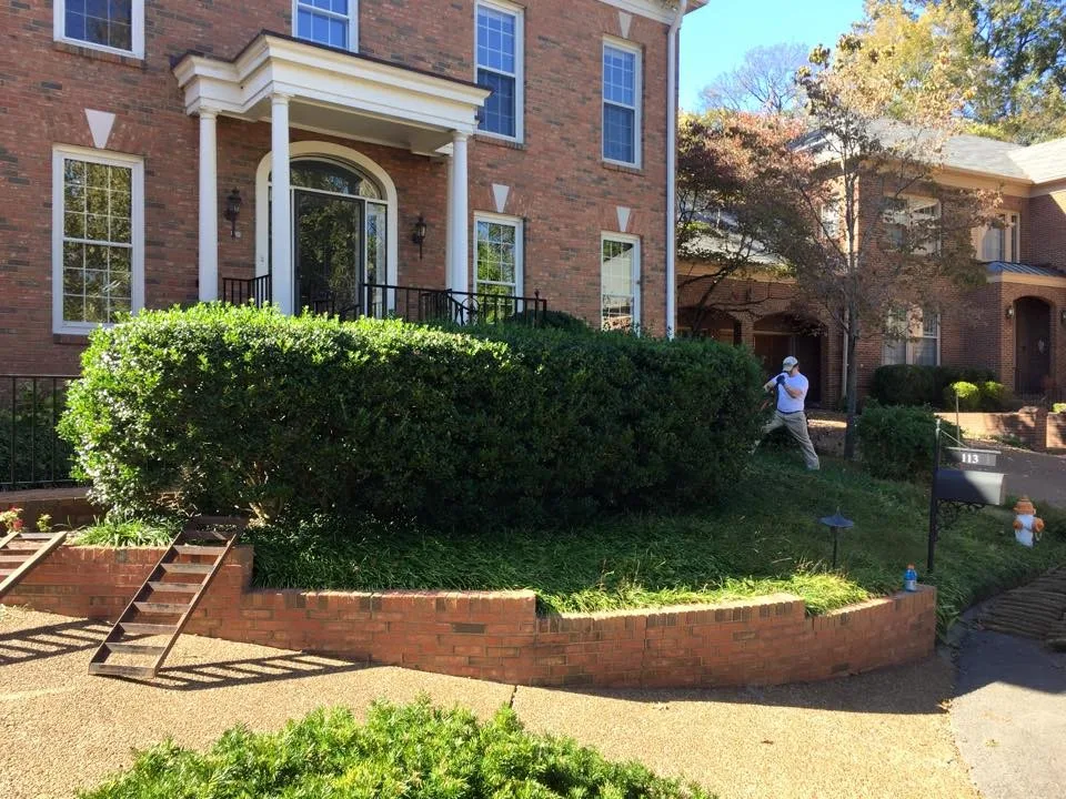 Landscape Transformation by Dotson Landscaping - Photo 4