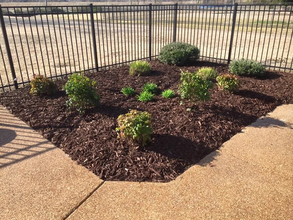Landscape Transformation by Dotson Landscaping - Photo 6