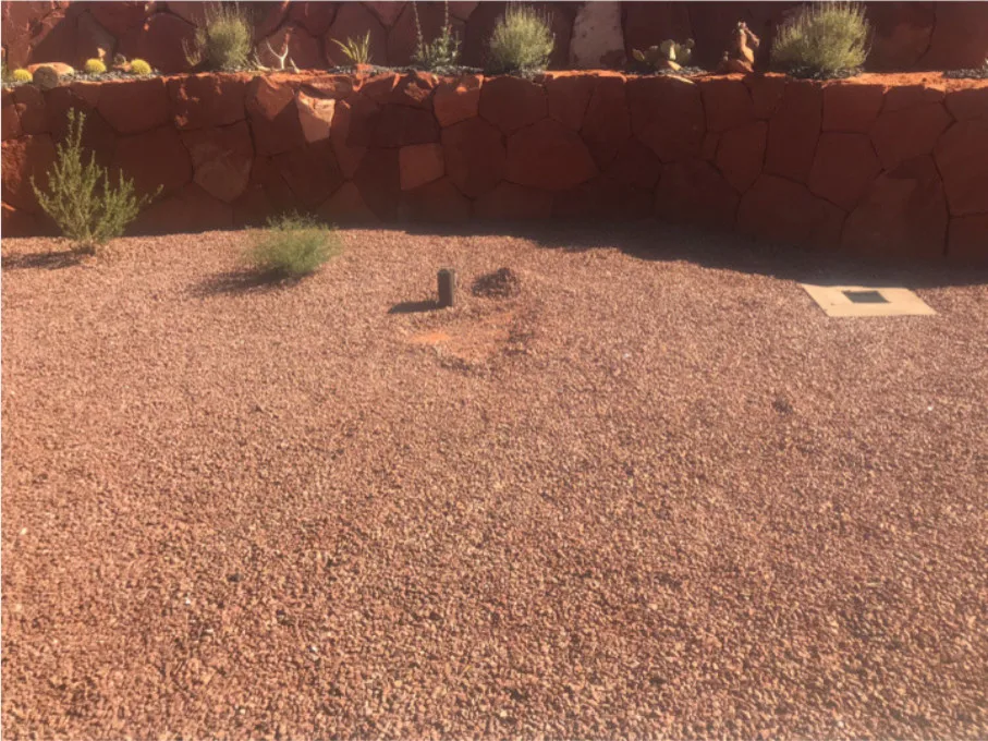 Before and After by Desert Mist - Photo 2