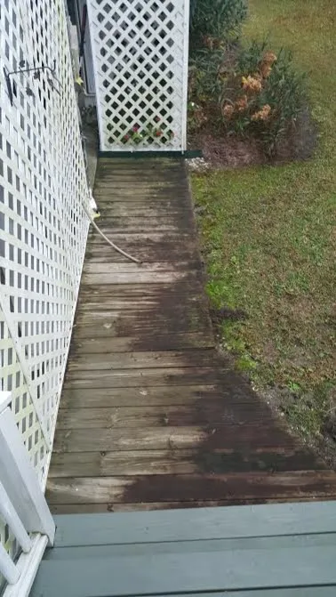 Elite Coastal Landscaping LLC - Photo 13