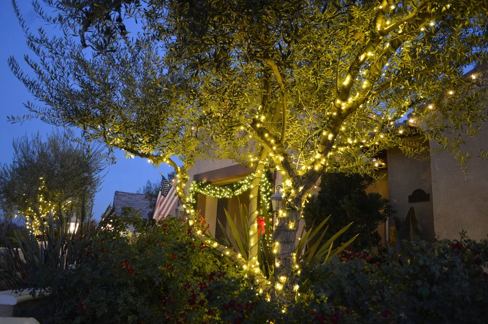 Kaylor Landscape + Christmas Decor - Photo 8