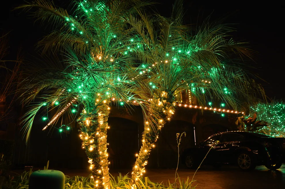 Kaylor Landscape + Christmas Decor - Photo 9