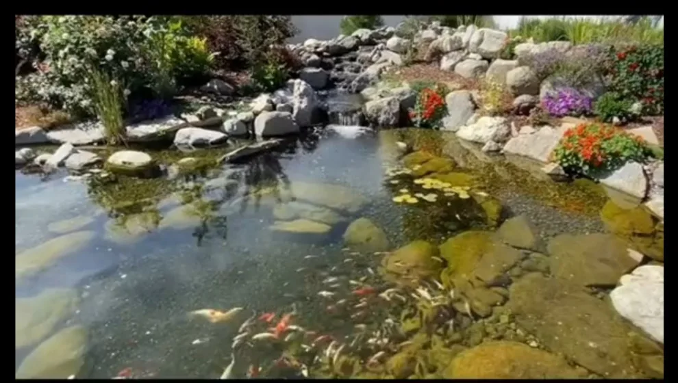 Promise Landscape LLC - Photo 11