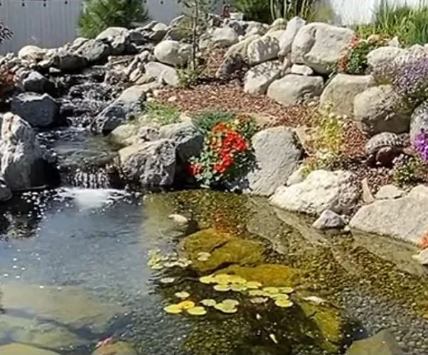 Promise Landscape LLC - Photo 6