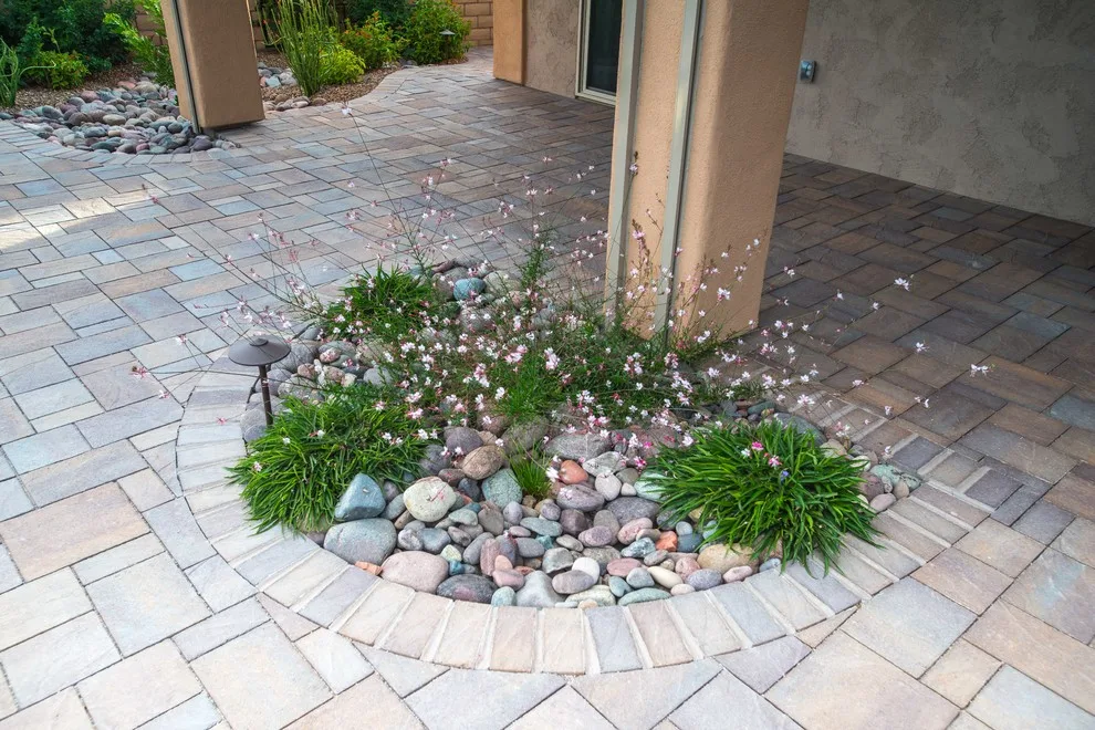 Tucson's Curved Desert by Santa Rita Landscaping, Inc. - Photo 17