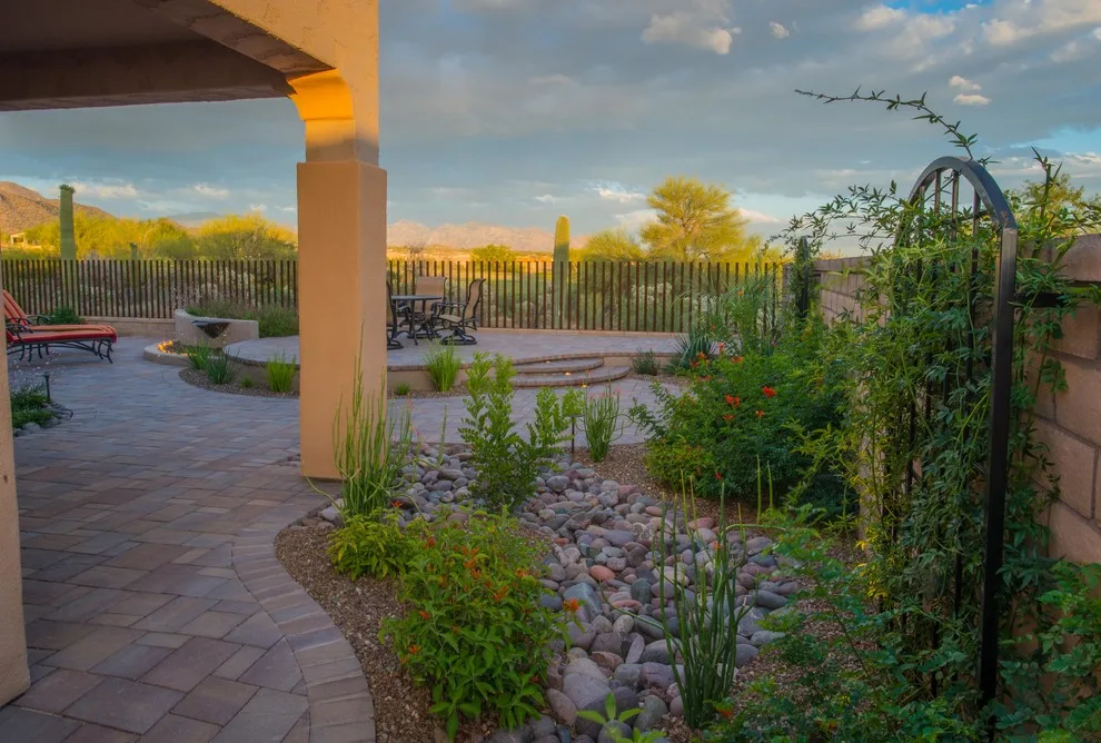 Tucson's Curved Desert by Santa Rita Landscaping, Inc. - Photo 12