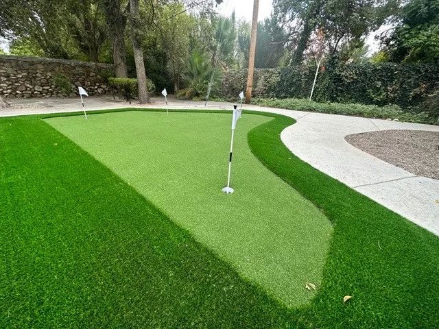 El Paso Artificial Grass Supply - Photo 12