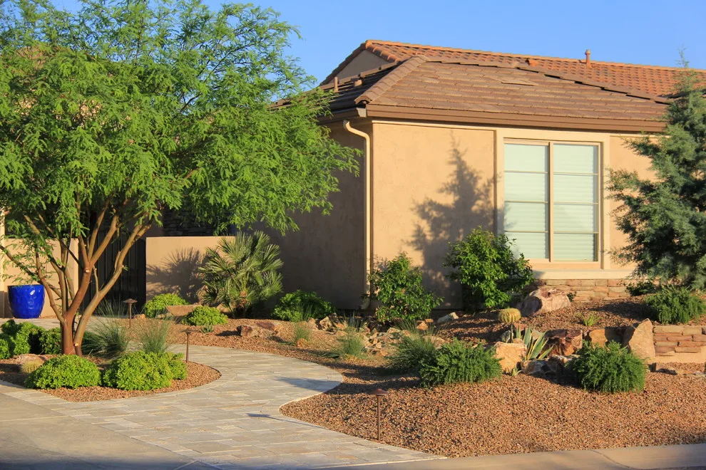 Jade Tucson by Santa Rita Landscaping, Inc. - Photo 25
