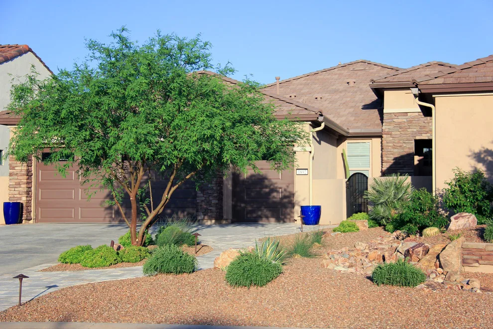 Jade Tucson by Santa Rita Landscaping, Inc. - Photo 12