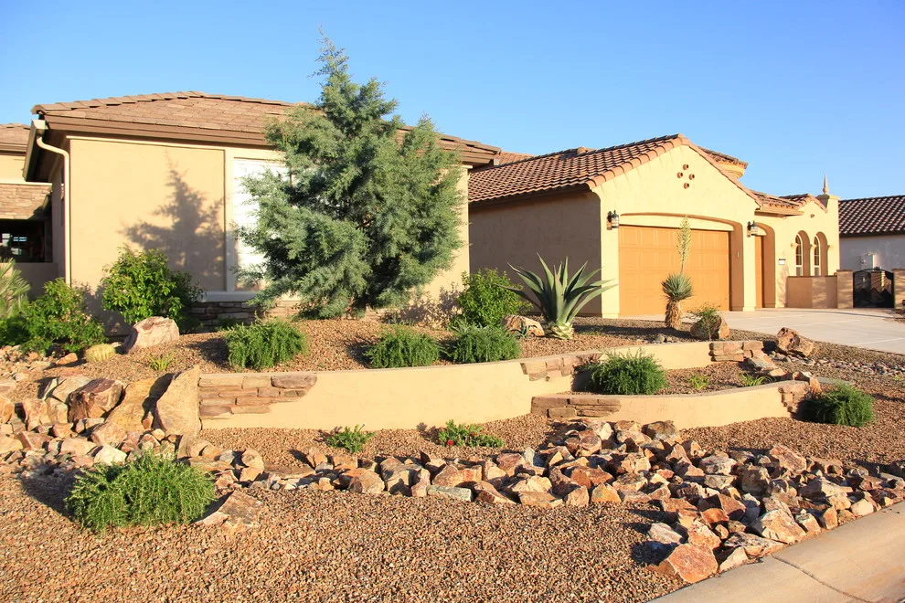 Jade Tucson by Santa Rita Landscaping, Inc. - Photo 30