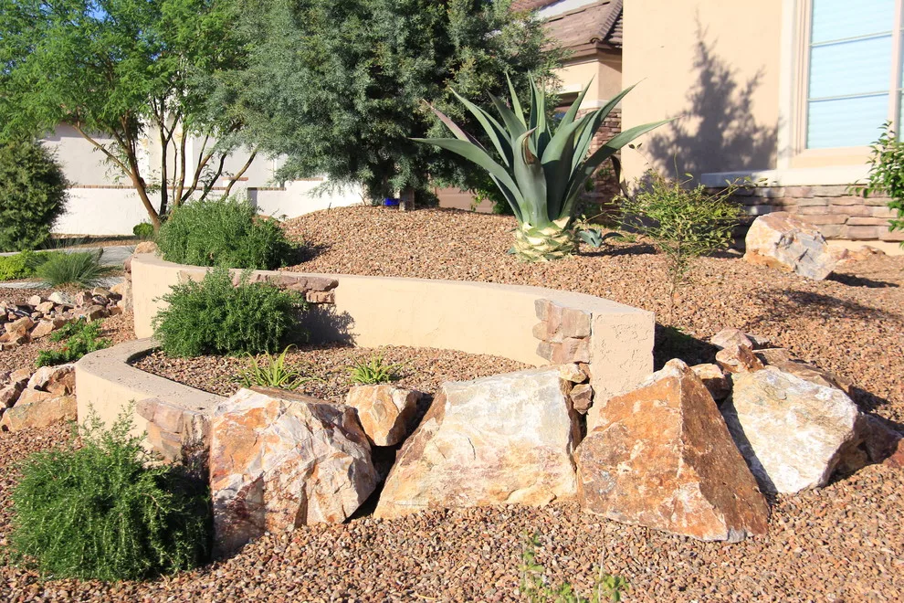 Jade Tucson by Santa Rita Landscaping, Inc. - Photo 20