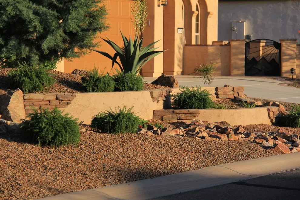 Jade Tucson by Santa Rita Landscaping, Inc. - Photo 7