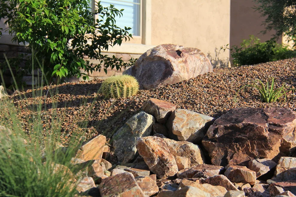 Jade Tucson by Santa Rita Landscaping, Inc. - Photo 28